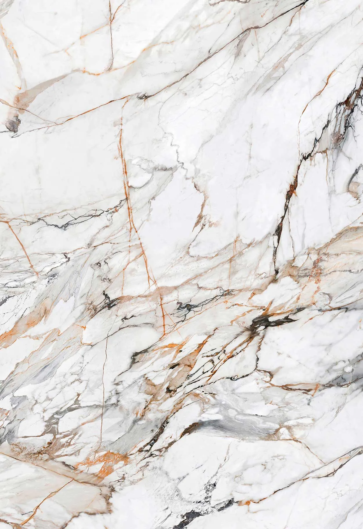 Calacatta luxe – neolith – the new classtone